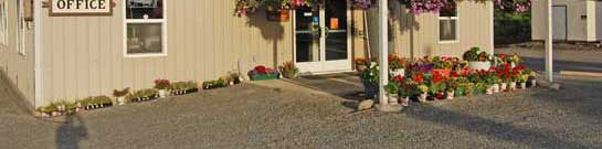 Welcome to the Senior Center