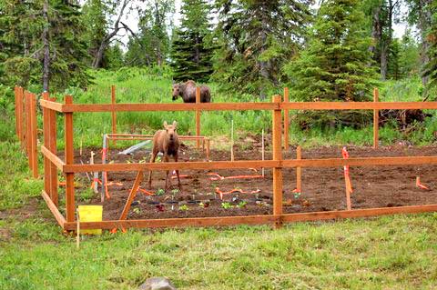 This is NOT your space!