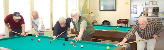 Our line-up of Pool Sharks...